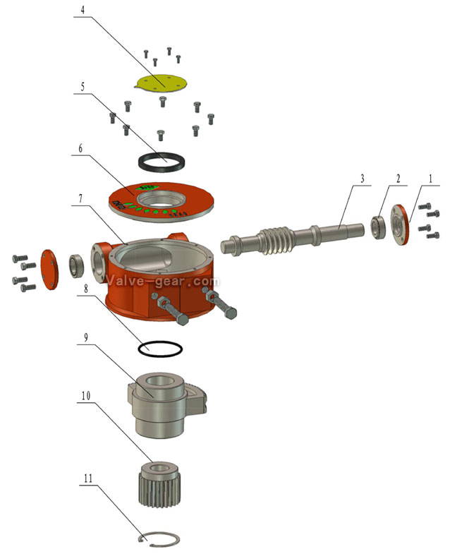 阀门蜗轮箱解剖图